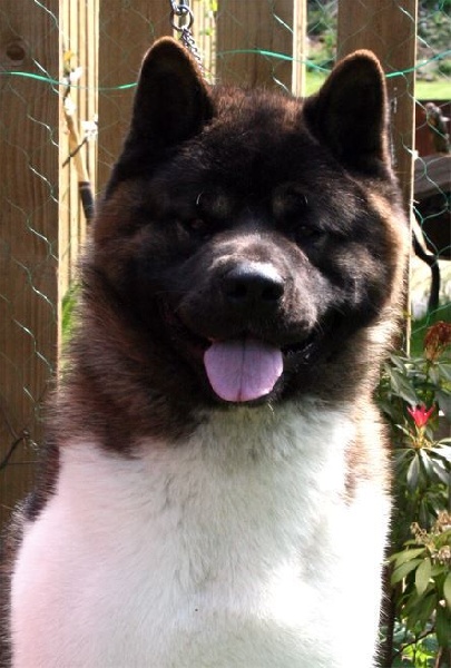 Publication : du Lac Brûlé