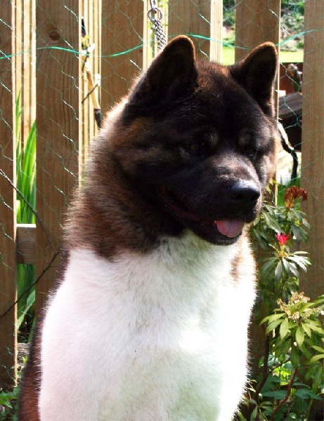 Publication : du Lac Brûlé