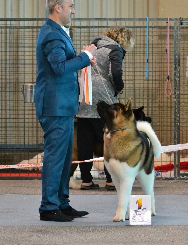 CH. Not by chance but destiny du Lac Brûlé - (CPM) : 1er Très Prometteur / Meilleur Puppy