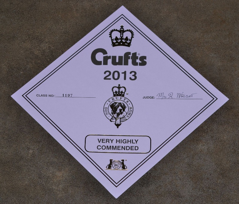 CH. Ashka of Sea Bird Sanctuary - (CVF) : classée VHC