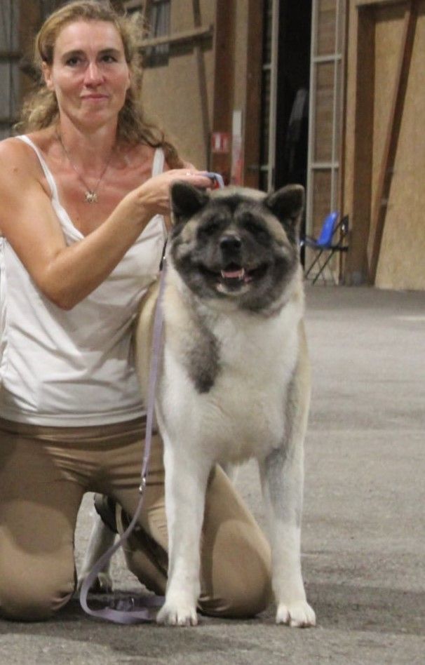 CH. Reality show du Lac Brûlé - (COF) : Excellente