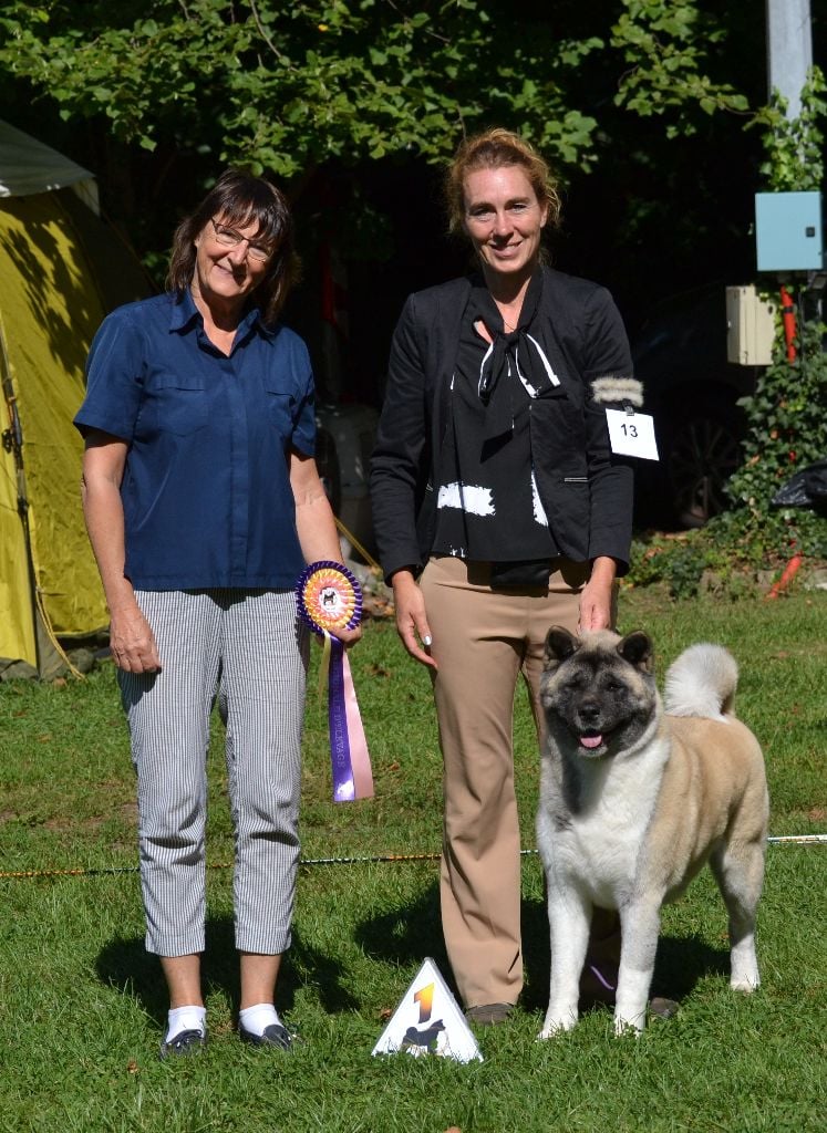 CH. Reality show du Lac Brûlé - (CCHF) : 1ère Excellente / Meilleur Champion