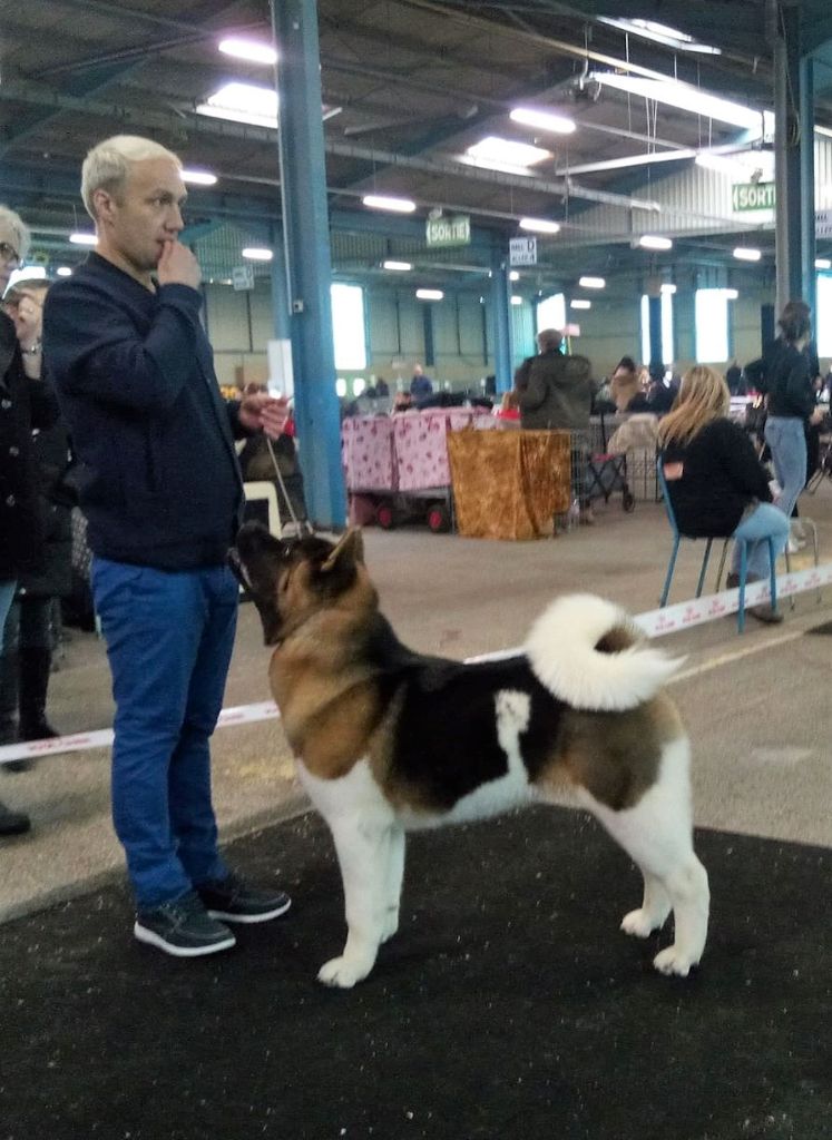 CH. Not by chance but destiny du Lac Brûlé - (CPM) : 3ème Prometteur