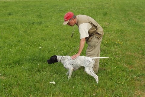 Eros de la Plaine sans Eau - TAN