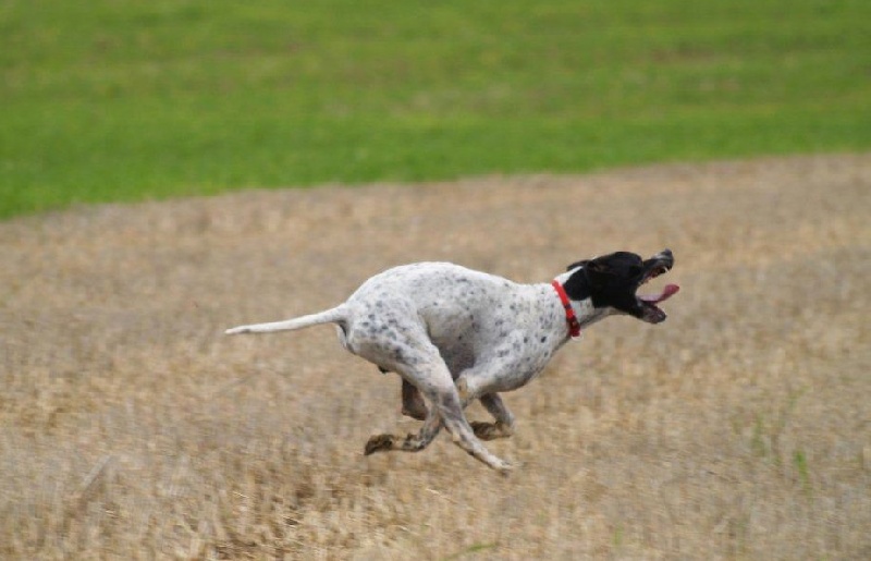 Eros de la Plaine sans Eau - 1er Prix