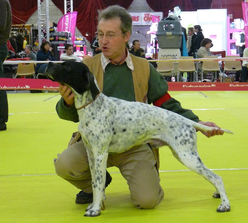 Eros de la Plaine sans Eau - 1er EXC CACS CACIB et MR