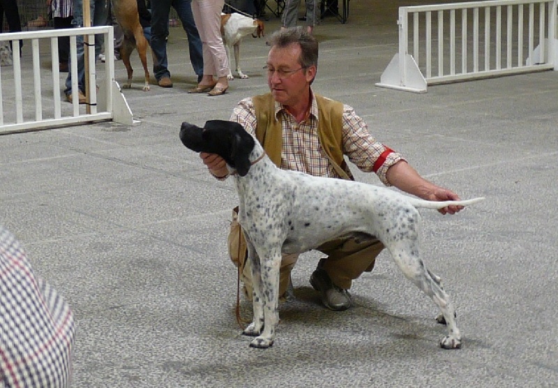 Eros de la Plaine sans Eau - 1er EXC CACS et Meilleur de Race