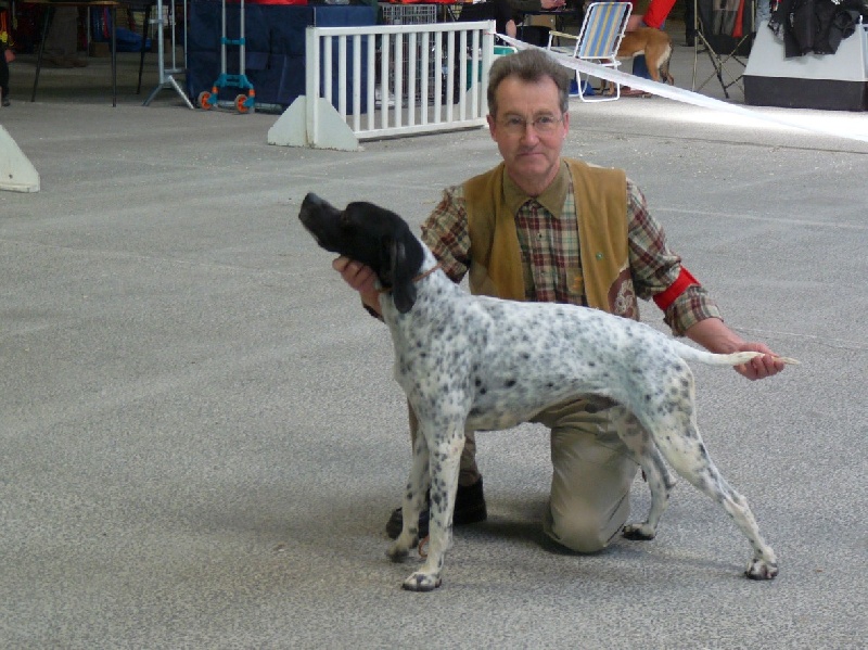 Eros de la Plaine sans Eau - 1er EXC CACS CACIB MR