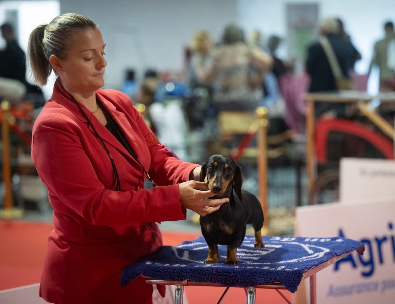 Publication : de la Passe de l'Eider