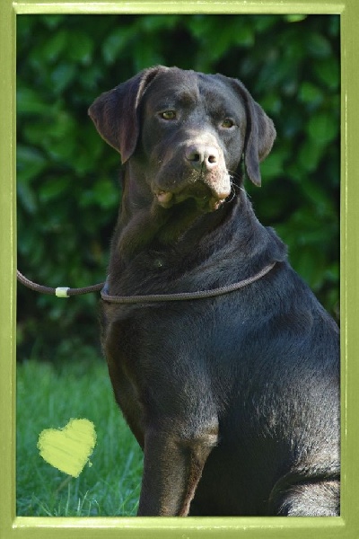 Publication : de la Passe de l'Eider