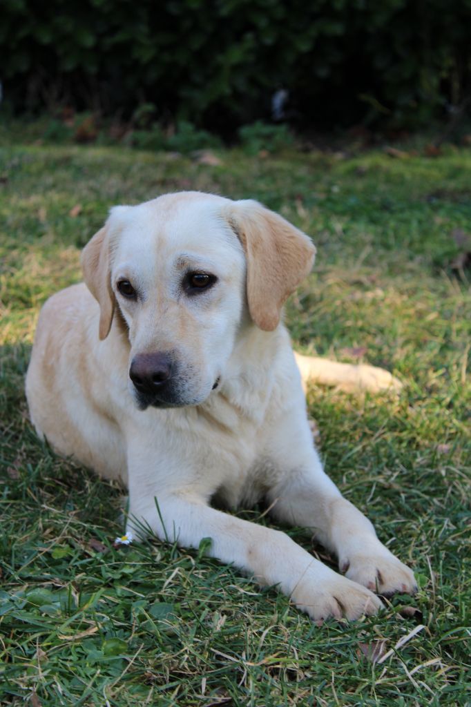 Publication : de la Passe de l'Eider