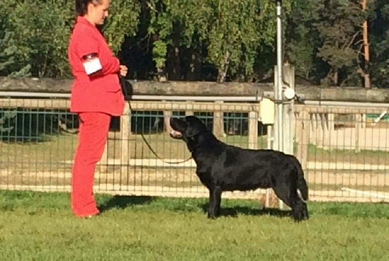 Publication : de la Passe de l'Eider