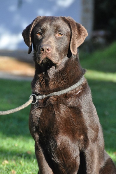 Publication : de la Passe de l'Eider