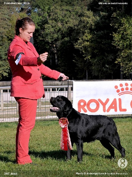 Publication : de la Passe de l'Eider