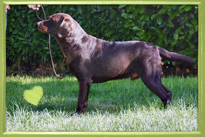 Publication : de la Passe de l'Eider