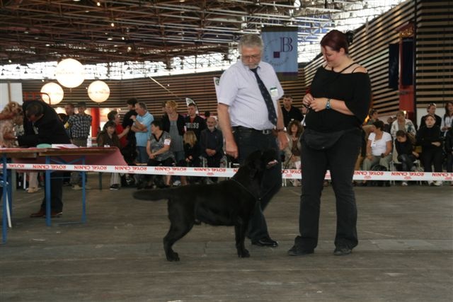 Udefix de la Passe de l'Eider - 1er EXCELLENT