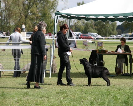 Udefix de la Passe de l'Eider - Excellent