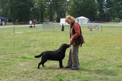 Udefix de la Passe de l'Eider - Excellent