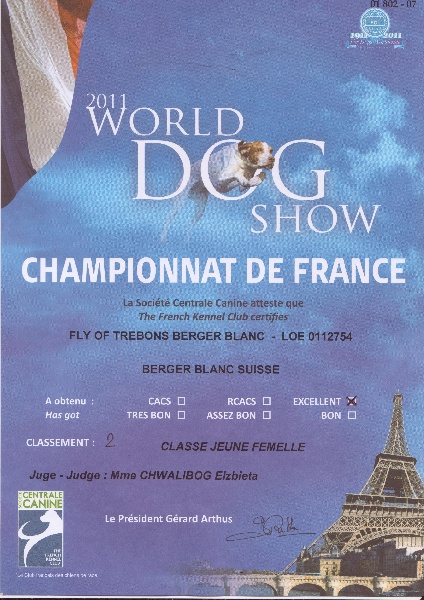 Publication : des Terres d'Azade