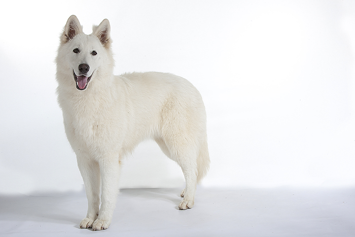 Publication : des Terres d'Azade