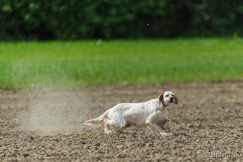 TR. Dune du Parc des Chaumes