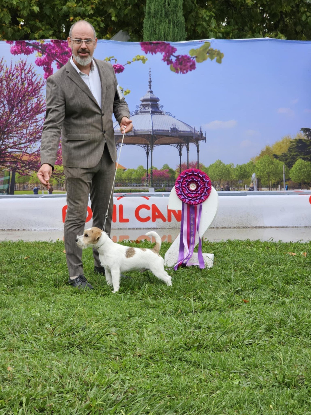 Publication : du Vallon de l'Alba Auteur : Gautier