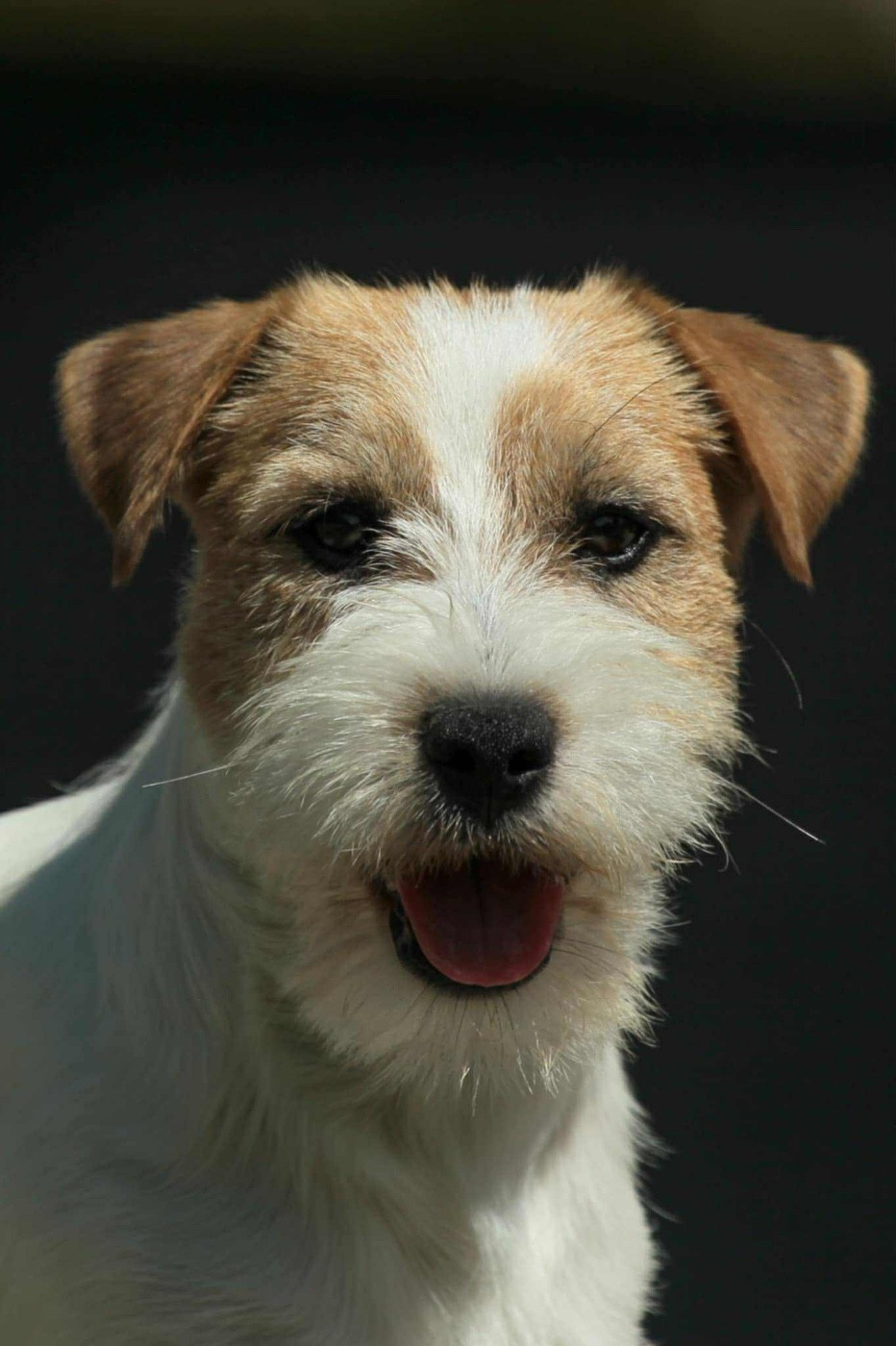 Publication : du Vallon de l'Alba Auteur : Gautier