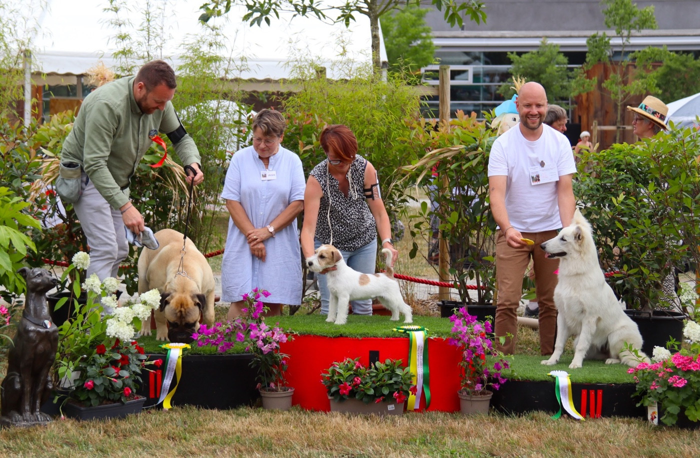 Publication : du Vallon de l'Alba Auteur : Gautier