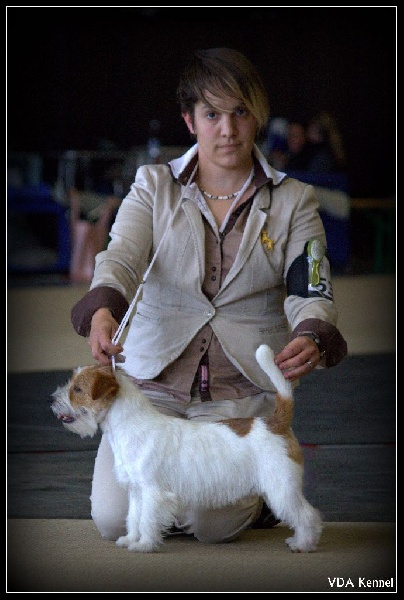 CH. Seven dwarfs di sutri - 1er Exc CAC, CACIB & BOS