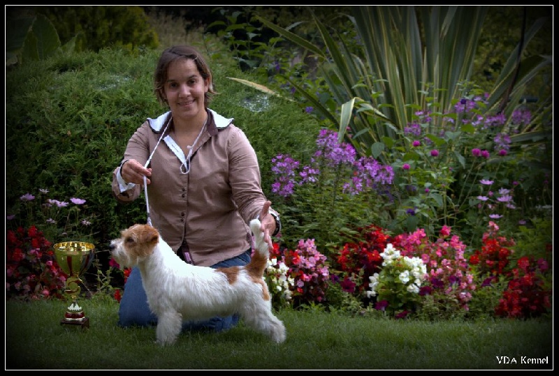 CH. Seven dwarfs di sutri - 1er Exc CACS & BOB