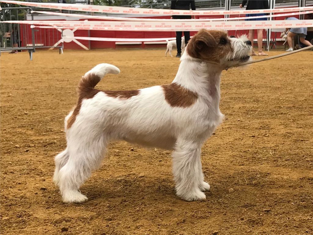 No more words russtyle's du Vallon de l'Alba - 3eme Excellent