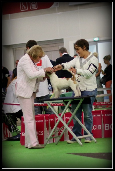 CH. Seven dwarfs di sutri - 2ème Exc, RCACS, en classe ouverte