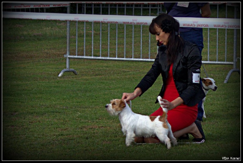 CH. Seven dwarfs di sutri - 3ème Exc / 12 engagés