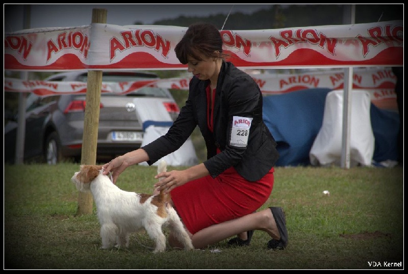 CH. Seven dwarfs di sutri - 3ème Exc