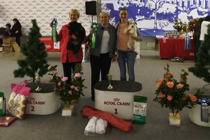 CH. Jack pride du Vallon de l'Alba - 1ere Exc CAC BOB BIG1