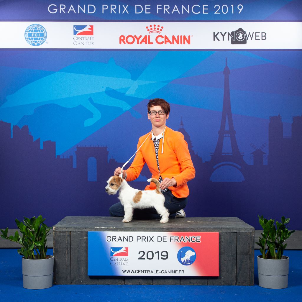 Paradise russtyle's du Vallon de l'Alba - 1ère Très Prometteur BabyBOB BabyBOG