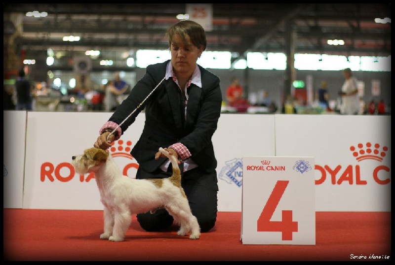 CH. Seven dwarfs di sutri - 4ème Exc, en classe ouverte