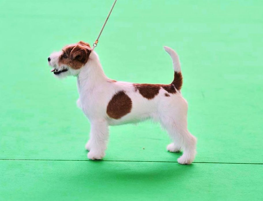 No more words russtyle's du Vallon de l'Alba - Excellent