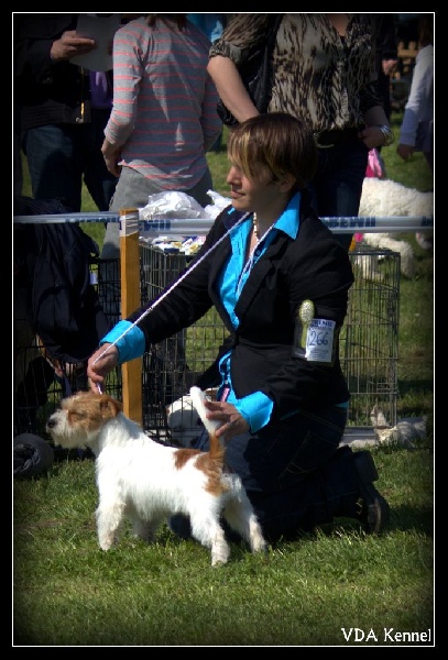 CH. Seven dwarfs di sutri - 1er Exc CAC, CACIB & BOB