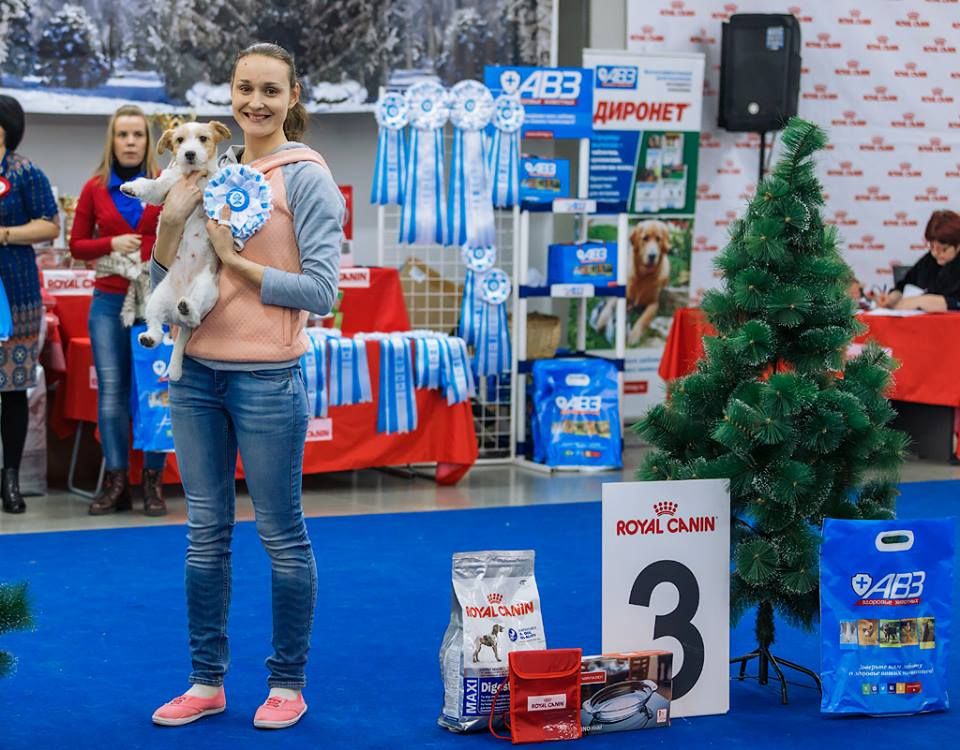 CH. Jack pride du Vallon de l'Alba - 1ere Exc CAC BOB BIG3