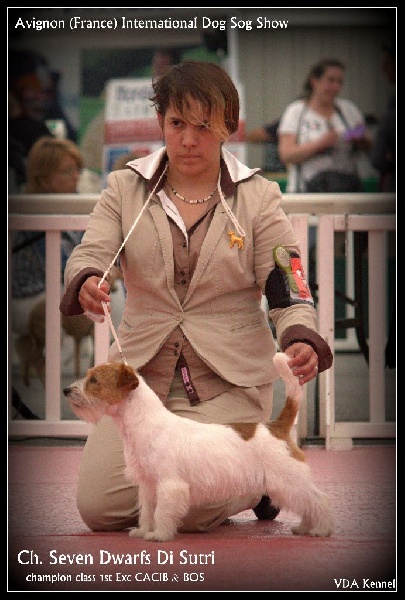 CH. Seven dwarfs di sutri - 1er Exc CACIB & BOS