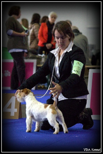 CH. Seven dwarfs di sutri - 1er EXC CAC