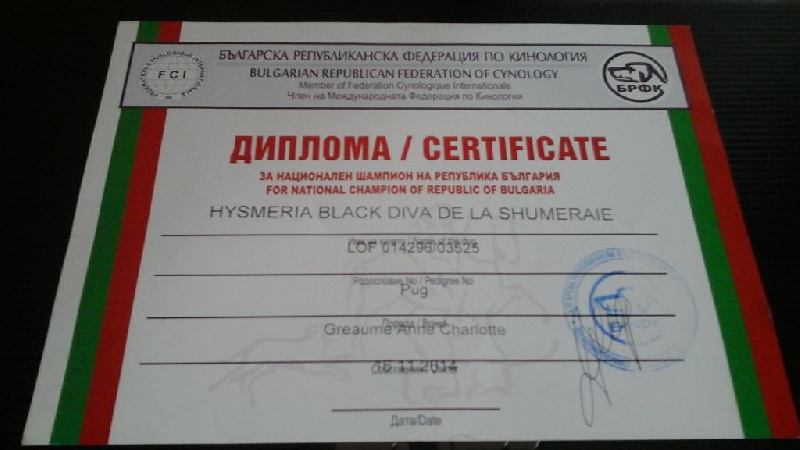 Publication : du domaine de la fée clochette Auteur : Arnaud Gosselin