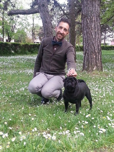 CH. Hysmeria black diva De La Schumeraie - 1ere excellente CACS CACIB ET CHAMPIONNE DE SERBIE