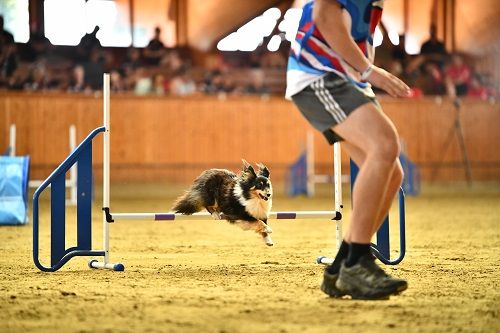 Publication : des Crocs de Provence Auteur : SCF