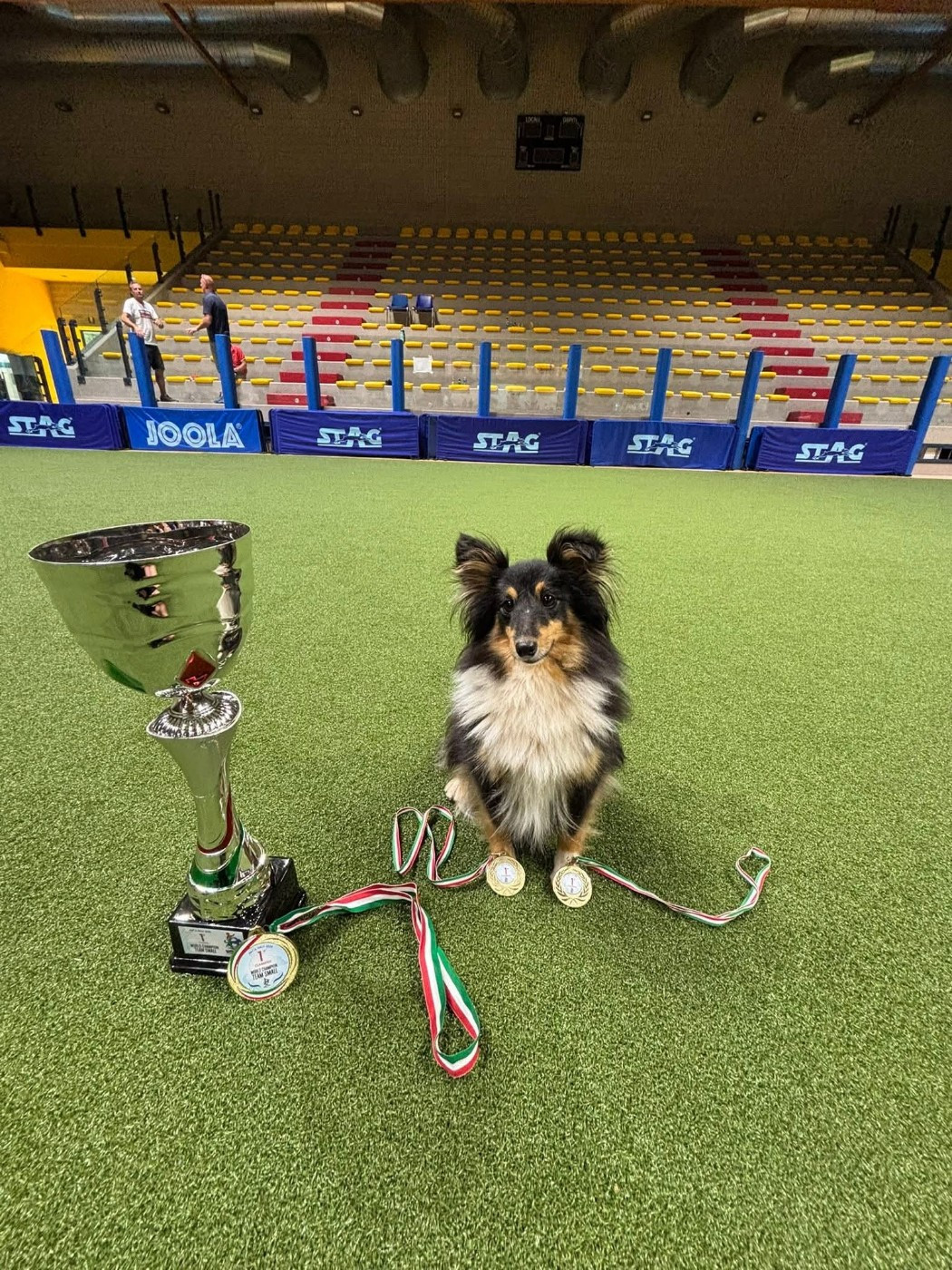 Publication : des Crocs de Provence Auteur : SCF