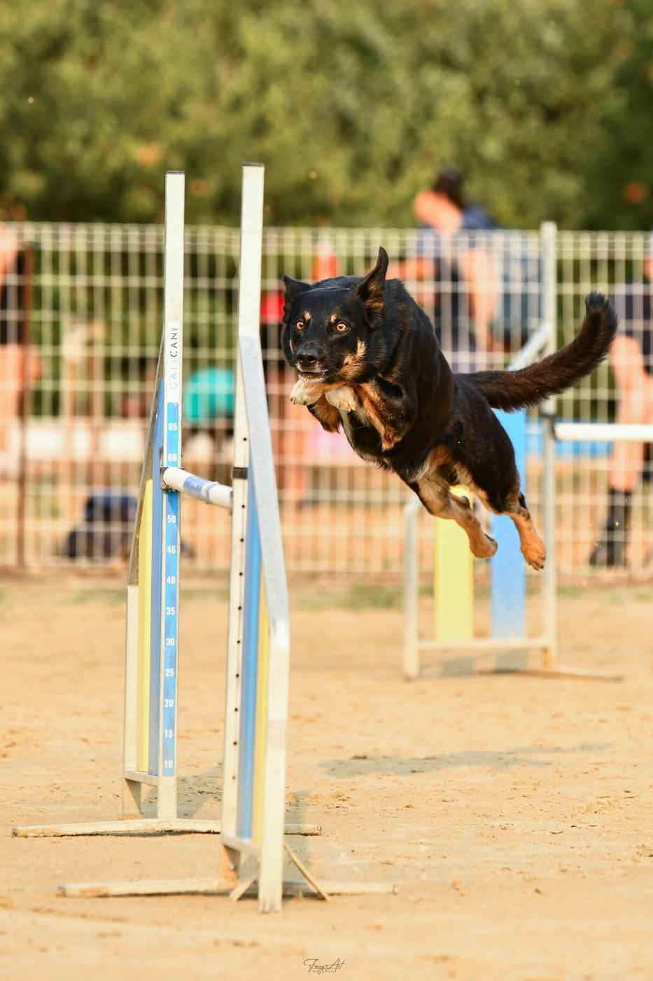 Sao des Crocs de Provence