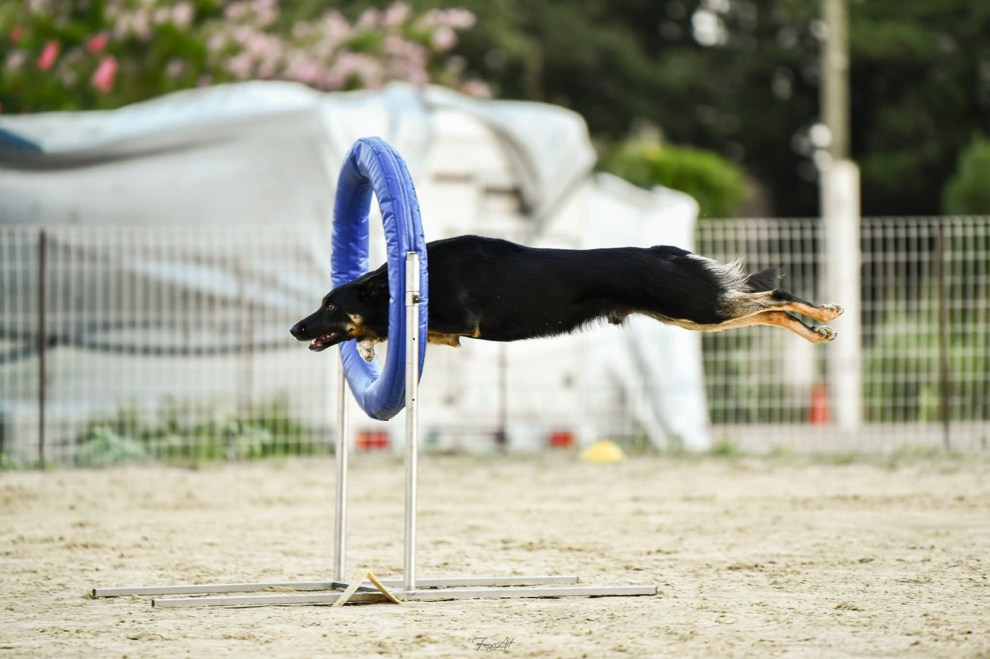 Sao des Crocs de Provence
