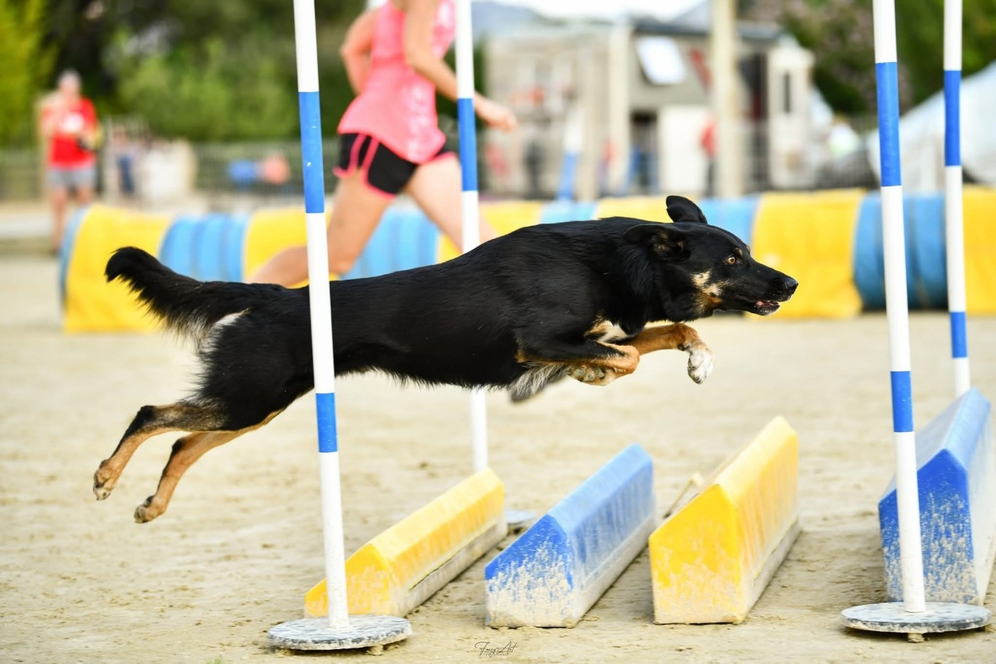 Sao des Crocs de Provence