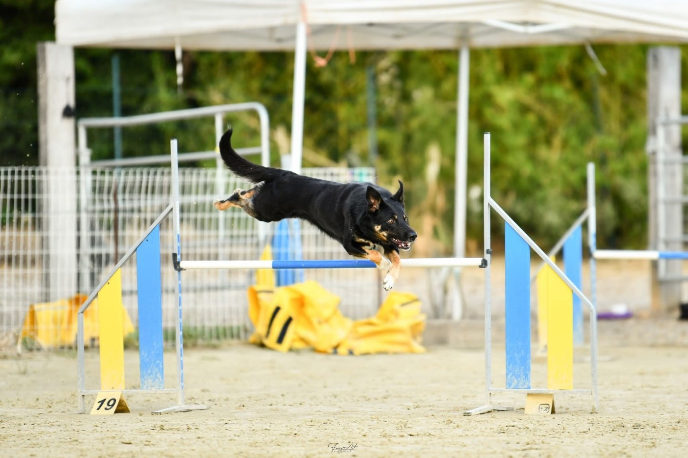 Sao des Crocs de Provence